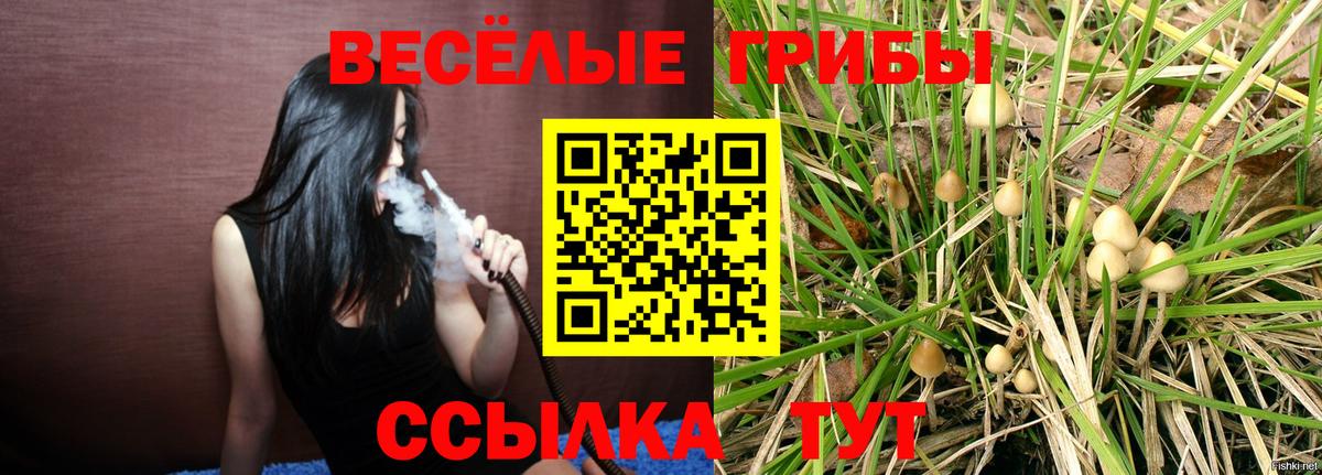 Ростов Великий  Галлюциногенные грибы MAGIC MUSHROOMS  Вход с VPN  Псилоцибиновые грибы мухоморы 